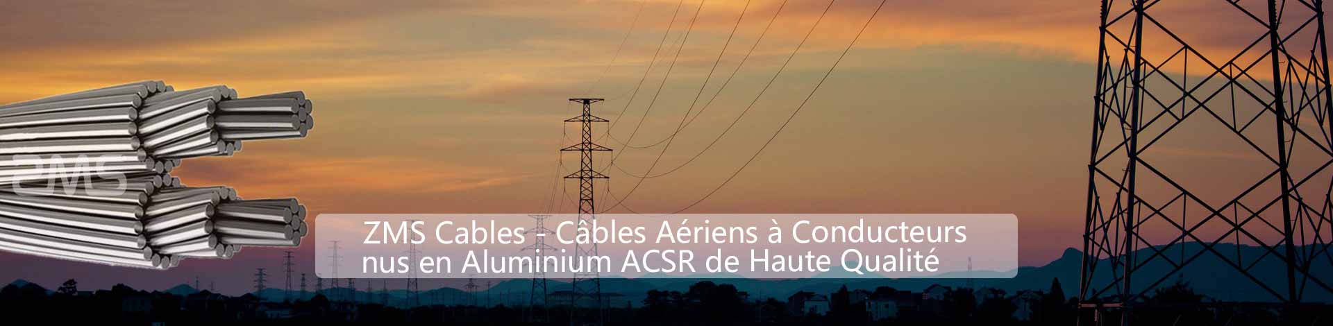 AAC,-AAAC,-ACSR-(Les-Lignes-Aériennes)